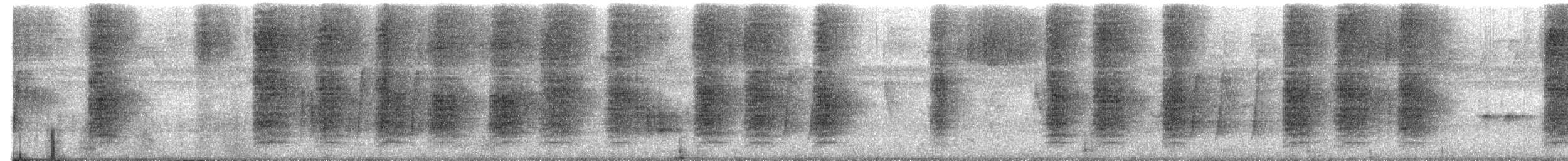 svartkronesmett - ML646722174