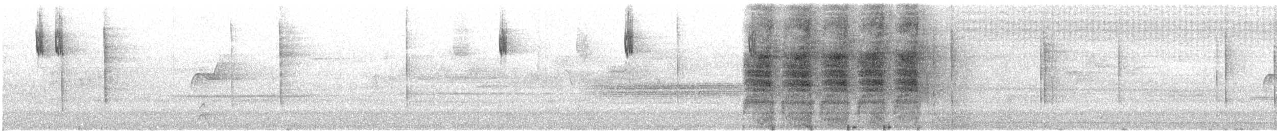 Dark-eyed Junco (Oregon) - ML646722412