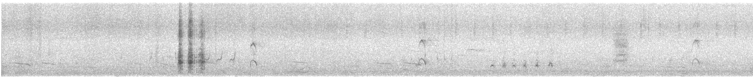 Мартин австралійський (підвид novaehollandiae/forsteri) - ML646722440