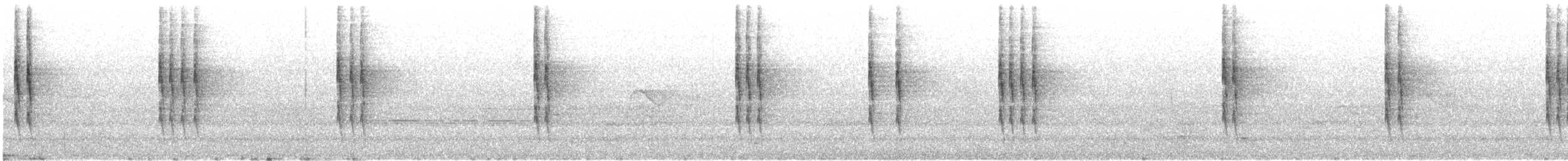 Волоочко кордильєрське - ML646722458