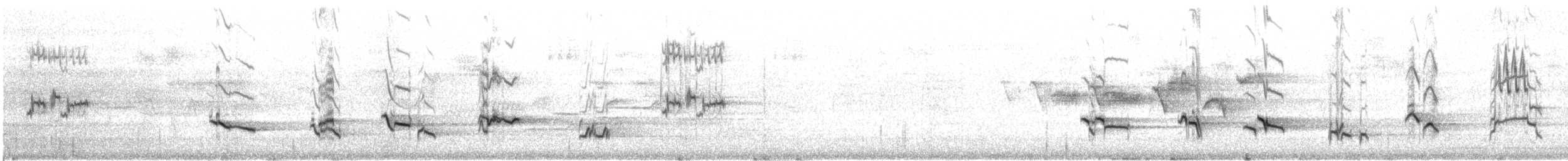 American Robin - ML646722464