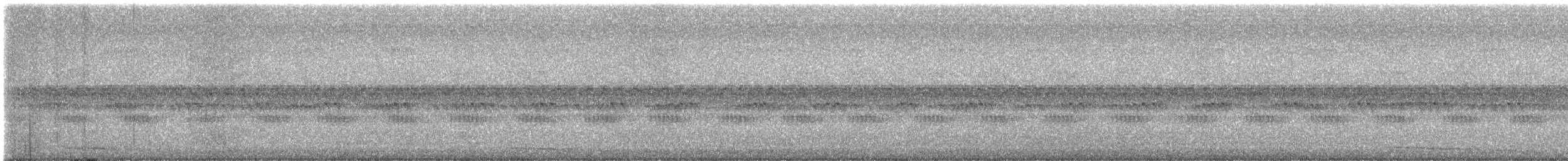 Petit-duc maculé - ML646722494