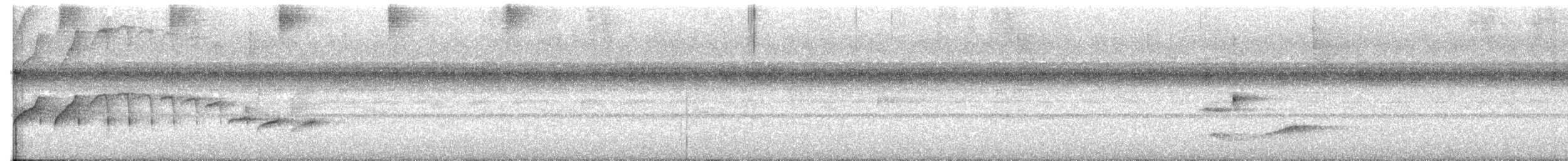 Bicolored Antbird - ML646722563