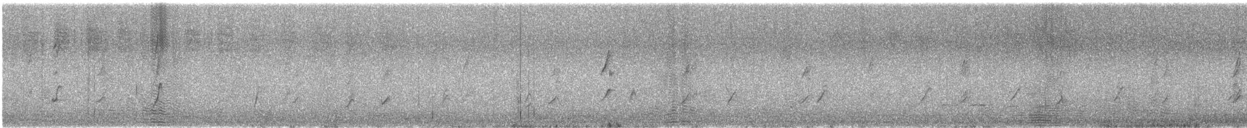 Манорина акацієва - ML646722646