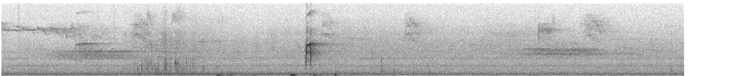 Sert Tüylü Ağaçkakan - ML646722663