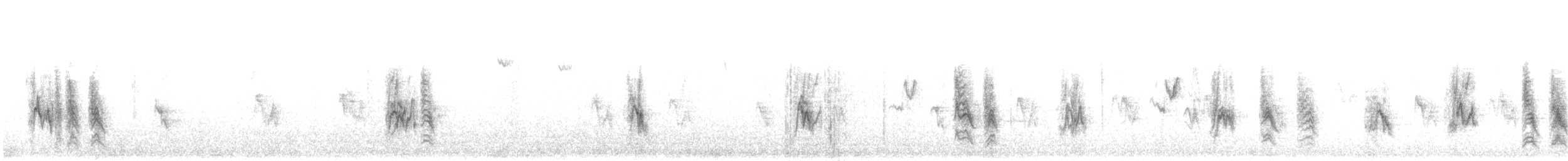 House Sparrow - ML646722741