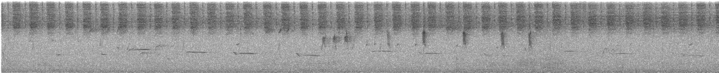 Gerigón Piquicorto - ML646722777