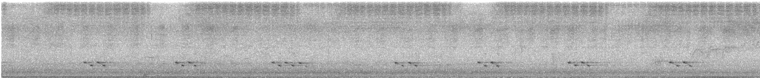 Діамантниця велика (підвид substriatus) - ML646722896