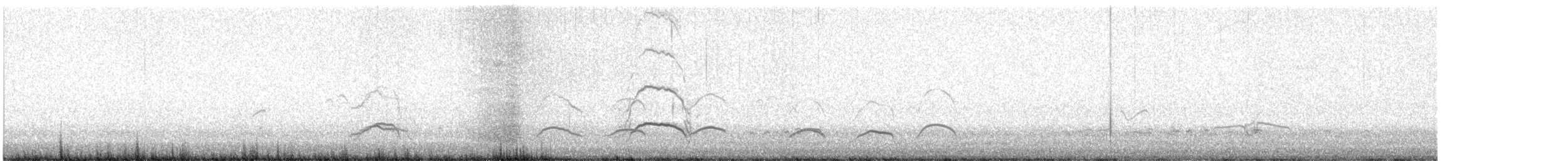 Huîtrier d'Amérique - ML646723149