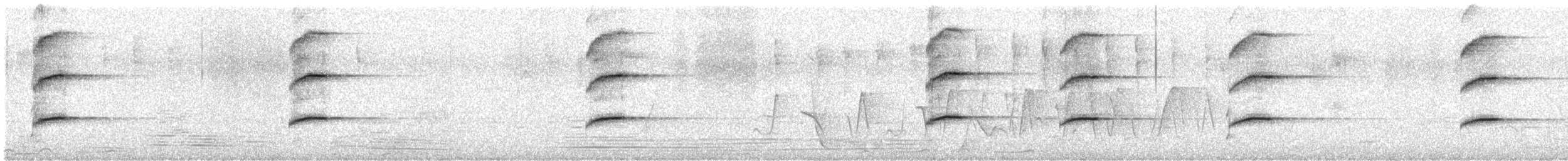 Papagayo Australiano - ML646723283