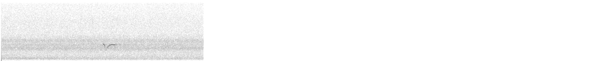 Semipalmated Plover - ML646723340