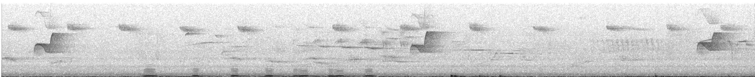 Sooty Grouse - ML646723359