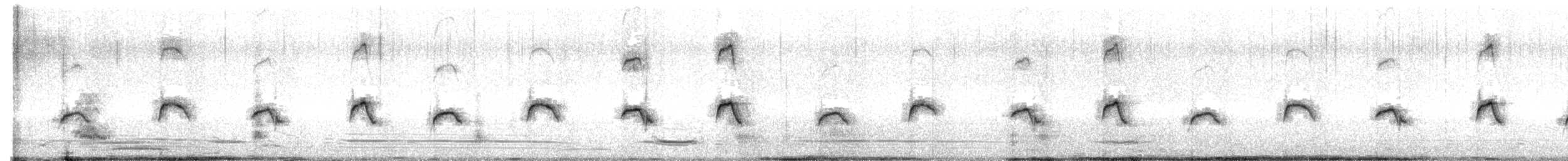 White-bridled Finch (Falkland) - ML646723421