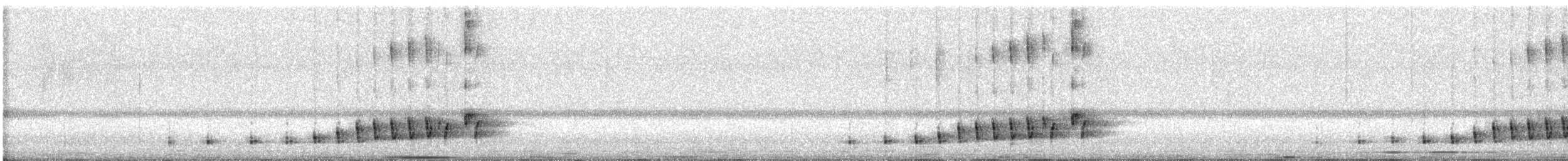 Buff-collared Nightjar - ML646723726