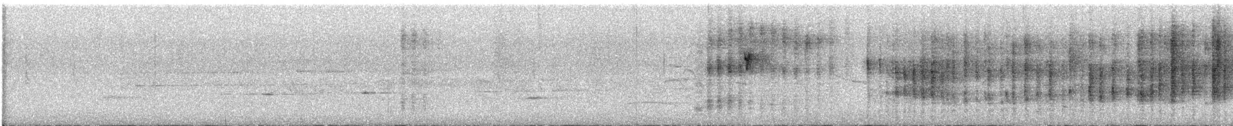 Gray-barred Wren - ML646723802