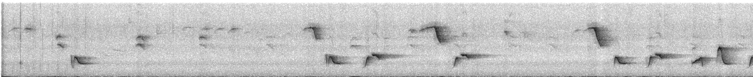 Gray-breasted Wood-Wren - ML646723812