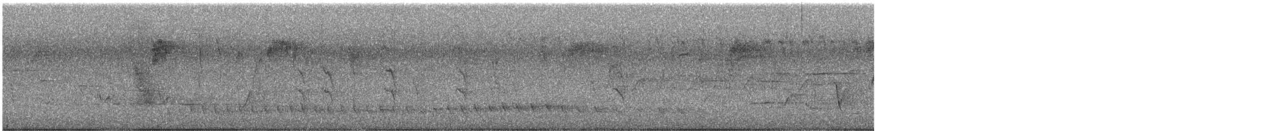 Mielero de Lewin - ML646723998