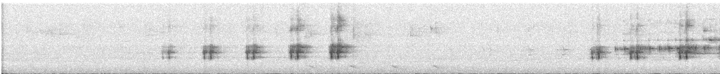 tøylesolitærtrost - ML646724013