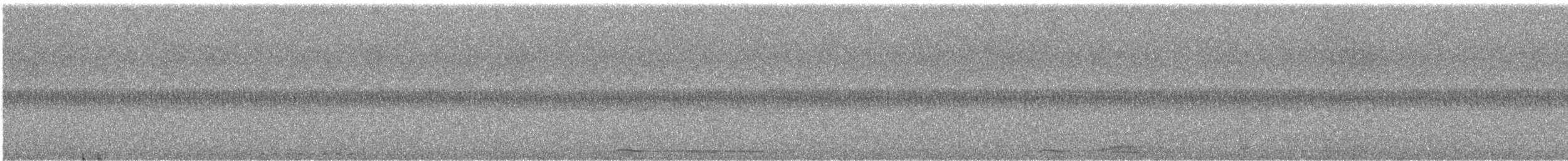 Australian Boobook (Boobook) - ML646724033