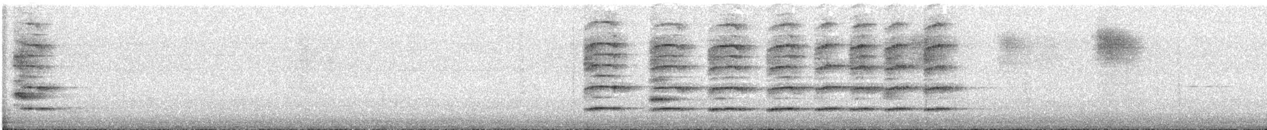 Great-tailed Grackle - ML646724167