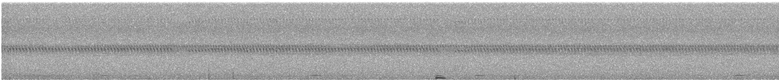 Australian Boobook (Boobook) - ML646724266