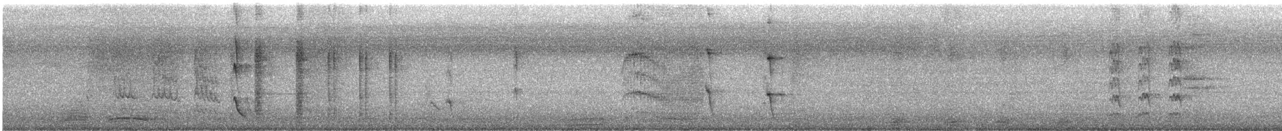 Miná Común - ML646724334