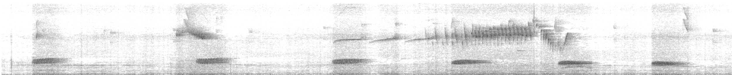 Parula Pitiayumí - ML646724338