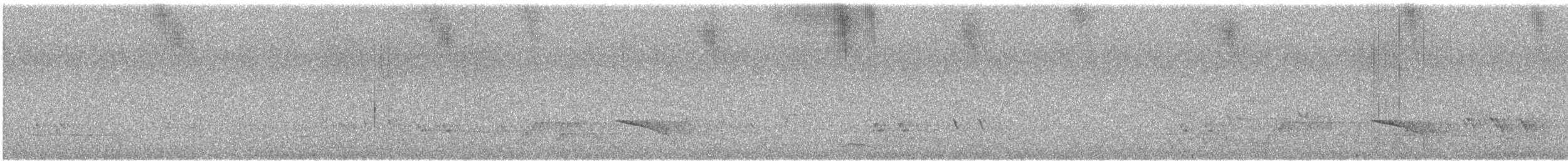 Horsfield's Bronze-Cuckoo - ML646724774