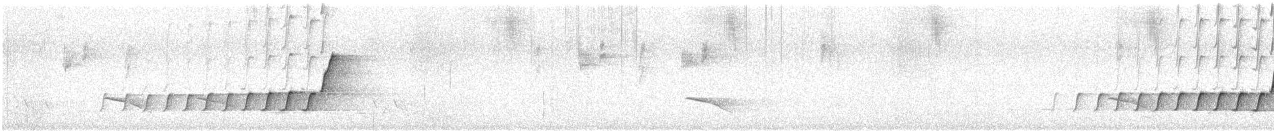 Golden Whistler (Western) - ML646724857