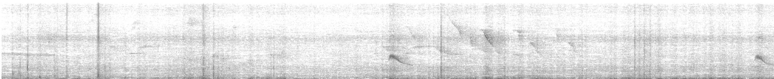 Euler's Flycatcher - ML646725051