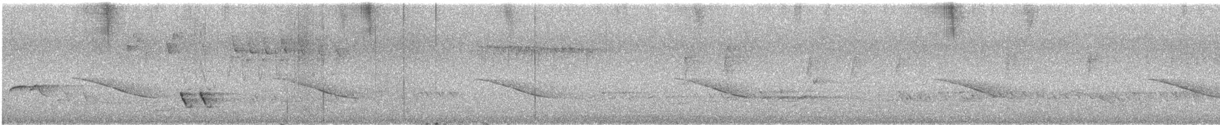 Horsfield's Bronze-Cuckoo - ML646725090