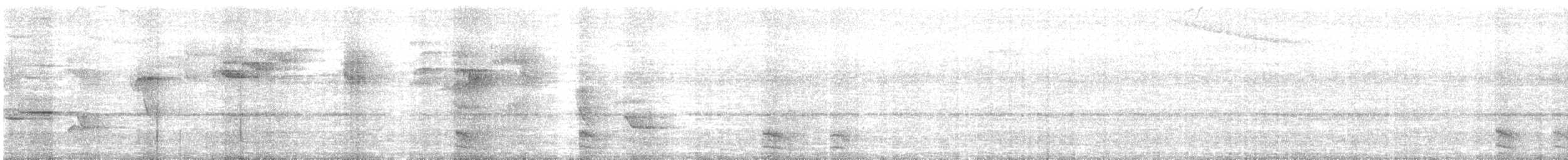 Halcón Montés Agavilanado - ML646725227