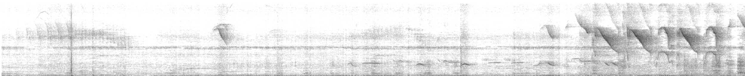 Sayaca Tanager - ML646725283