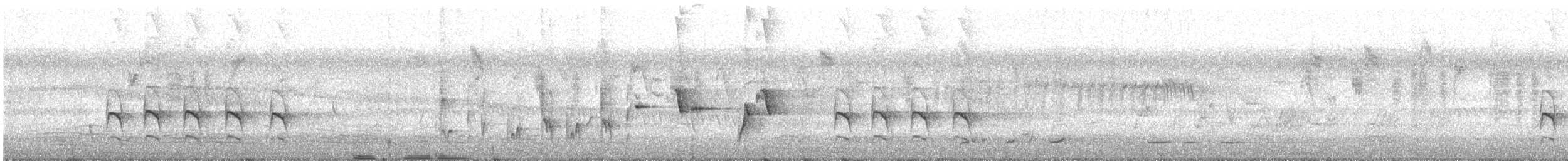 maskaraisfugl (sanctus) - ML646725604