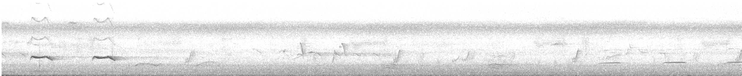 Sahul Brush Cuckoo - ML646725607