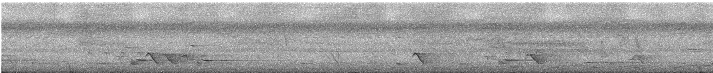 Australasian Figbird - ML646725611