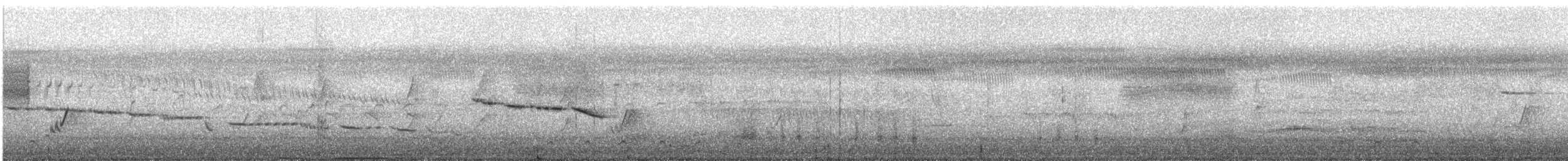 Pale-vented Bush-hen - ML646725620