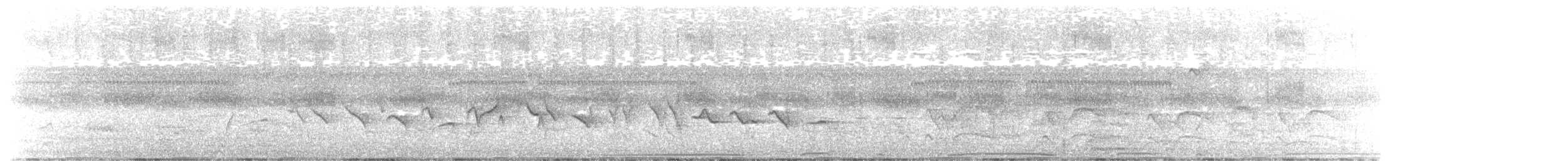 Chestnut-bellied Seed-Finch - ML646726043