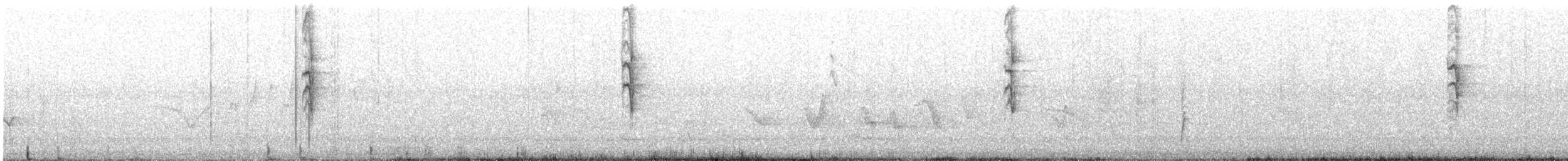 White-plumed Honeyeater - ML646726395