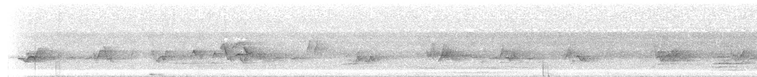 アカメモズモドキ - ML646726407