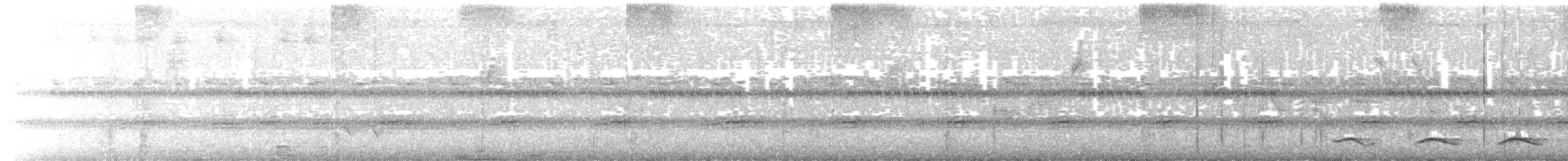 Atlantic Black-throated Trogon - ML646726486