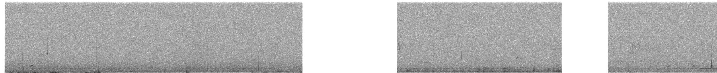 skjellmaurpitta - ML646726750