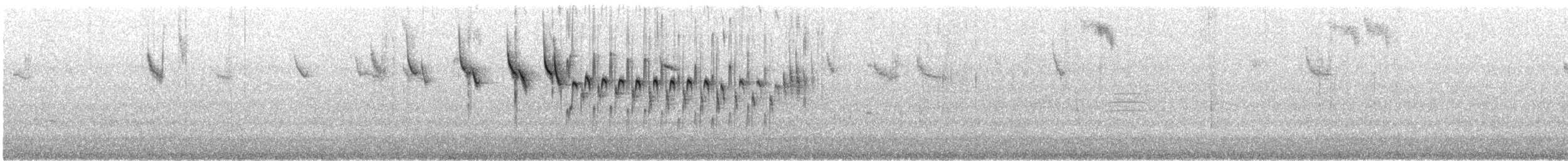 Red-winged Fairywren - ML646726793