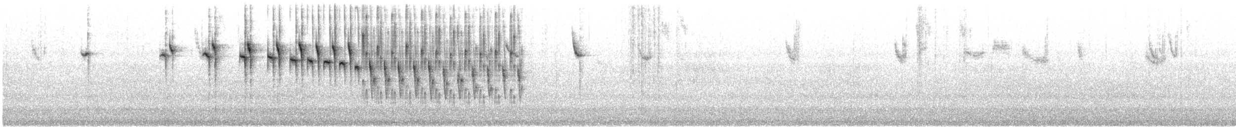 Red-winged Fairywren - ML646726794