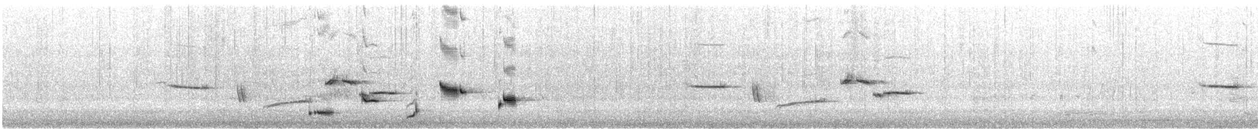 Western Whipbird (Black-throated) - ML646726824