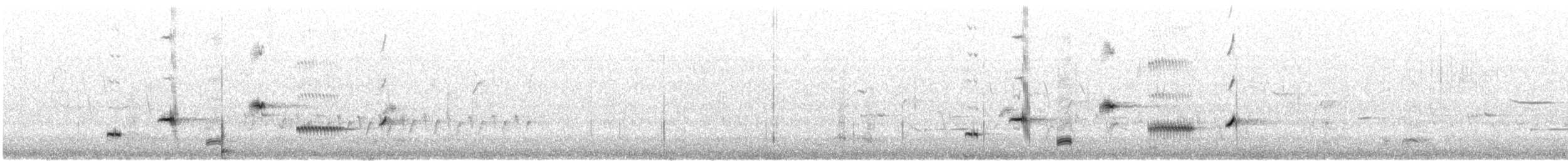 Western Whipbird (Black-throated) - ML646726825