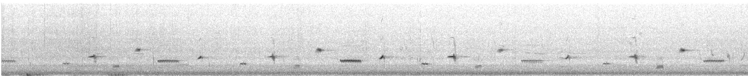 Western Whipbird (Black-throated) - ML646726826