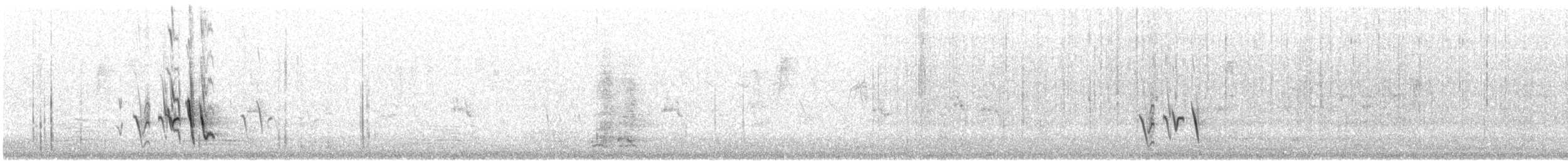 White-cheeked Honeyeater - ML646726832