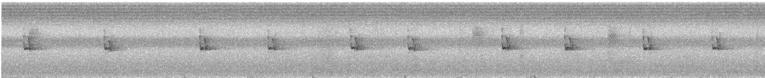 Alström's Warbler - ML646726845