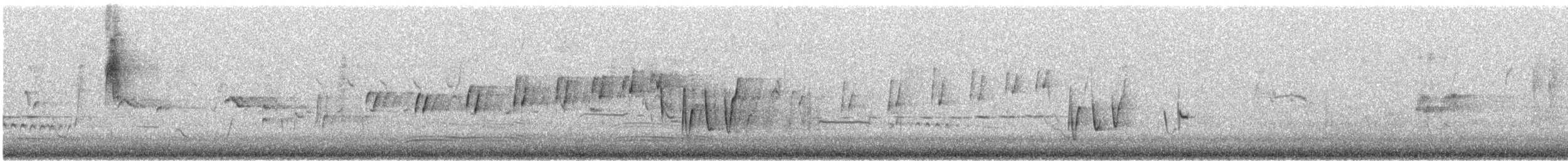 Noisy Scrub-bird - ML646726850